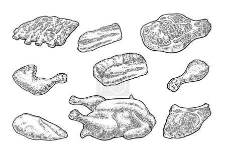 Illustration for Set meat products. Brisket, steak, chicken leg, ribs wing, and breast halves. Vintage black vector engraving illustration. Isolated on white background. - Royalty Free Image