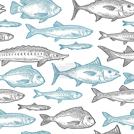 Illustration for Seamless pattern different types of fish. Tilapia, dorado, tuna, salmon, anchovy, eel, sardine, sturgeon, herring. Vintage vector engraving - Royalty Free Image