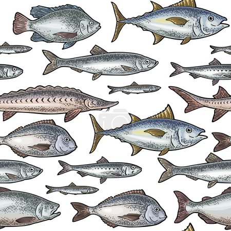 Téléchargez les illustrations : Modèle sans couture différents types de poissons. Gravure vintage - en licence libre de droit