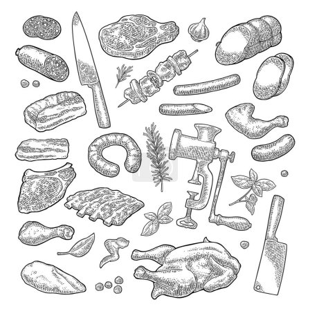 Illustration for Set meat products and kitchen equipment. Brisket, sausage, meat grinder, steak, chicken leg, knife, ribs, basil, thyme. Vintage vector engraving illustration. Isolated on white background. - Royalty Free Image