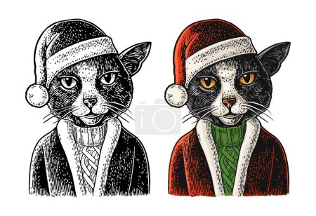 Illustration for Cat in Santa Claus coat, sweater hat. Vector color and black vintage engraving illustration isolated on white - Royalty Free Image