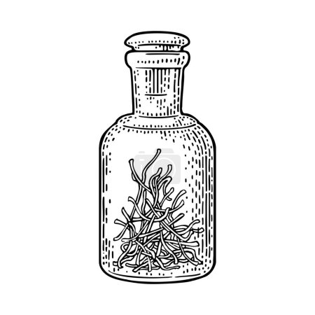 Illustration for Bottle with saffron dry threads. Vintage vector black engraving illustration. Isolated on white background. Hand drawn design element for label, poster, web, invitation to party - Royalty Free Image