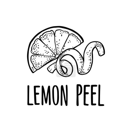 Illustration for Lemon slice and peel twirled. Isolated on white background. Vector monochrome vintage engrave illustration. Hand drawn design element for label and poster - Royalty Free Image