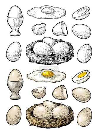 Huevos de pollo fritos y cocidos con cáscara rota y nido. Ilustración de grabado vectorial de color vintage para póster y etiqueta. Aislado sobre fondo blanco.
