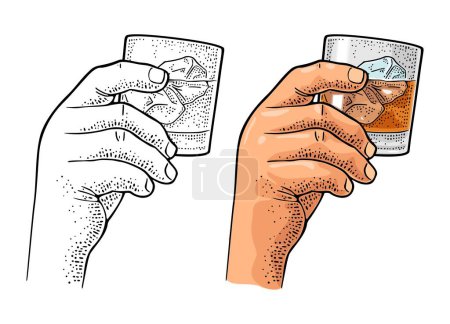 Illustration for Male hand holding glass whiskey. Vintage color vector engraving illustration for label, poster, invitation to party. Isolated on white background - Royalty Free Image