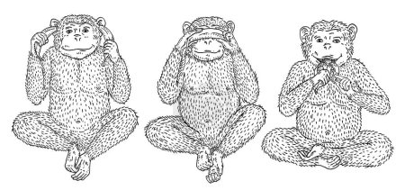 Ilustración de Tres monos sabios con plátano en las orejas, ojos, boca. No ver, no oír, no hablar. Ilustración de grabado negro vintage para póster, tela, camiseta, tatuaje. Aislado sobre fondo blanco - Imagen libre de derechos