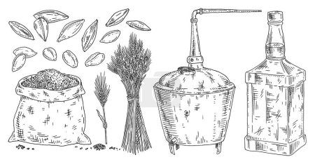 Illustration for Grains of barley skinned and with husk. Ear and sheaf sack with grains. Fermentation copper tanks for making of whiskey in the distillery brewery factory. Vintage vector black engraving isolated - Royalty Free Image