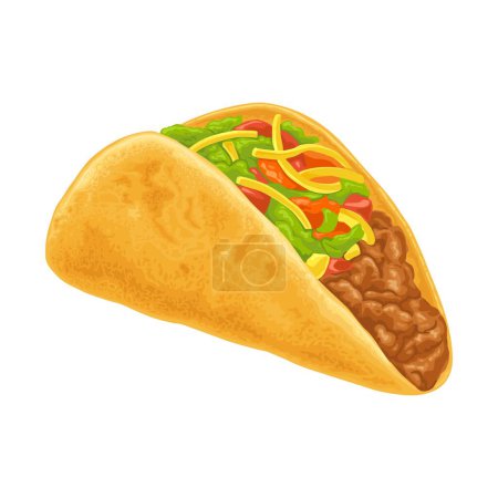 Illustration for Taco - mexican traditional food. Vector color realistic illustration. Isolated on white. Hand drawn design element for menu, poster, web icon - Royalty Free Image