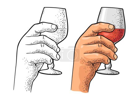 Illustration for Male hand holding glass with red wine. Vintage color vector engraving illustration for label, poster, invitation to party. Isolated on white background. - Royalty Free Image