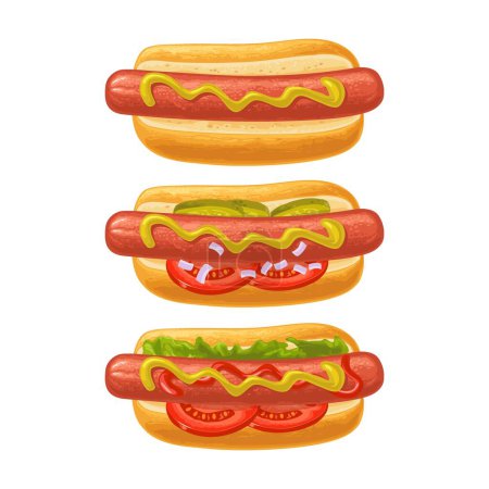 Illustration for Different types hotdog with with tomato, ketchup, leave lettuce, cucumber, mustard, onion. Top view. Vector color flat illustration for poster, menus, web. Icon isolated on white background - Royalty Free Image