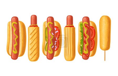 Illustration for Different types hotdog and corndog with with tomato, ketchup, mayo, leave lettuce, cucumber, mustard, onion. Top view. Vector color flat illustration for poster, menus, web. Icon isolated on white - Royalty Free Image