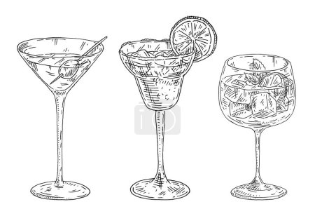 Illustration for Margarita cocktail with salt and lime. Martini drink with olive. Cocktail gin tonic with slice lemon and mint leaves. Engraving vector black vintage illustration isolated on white. Hand drawn design - Royalty Free Image