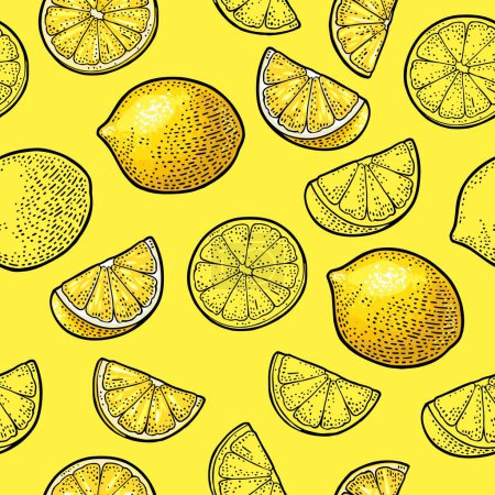 Illustration for Seamless pattern fresh whole and slice lemon. Isolated on the white background. Vector color hand drawn vintage engraving illustration for menu and label - Royalty Free Image
