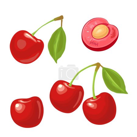 Illustration for Whole and half cherry berry with seed and leaf. Vector color icon. Isolated on white background - Royalty Free Image