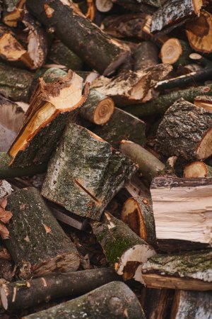 Photo for Chopped firewood. A pile of logs. Trees has been cut and split into firewood to be used as fuel for heating in fireplaces and furnaces - Royalty Free Image