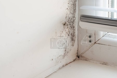 Black mold on the window slope, plastic window with condensation. The problem of wall freezing in winter.