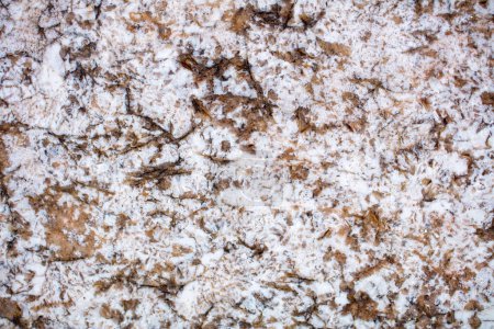 Téléchargez les photos : Texture de pierre naturelle, dalle de granit BIANCO ANTICO, couleur laiteuse avec des ajouts brun foncé. - en image libre de droit