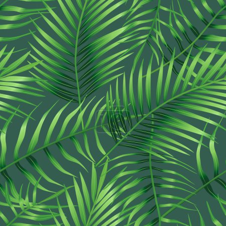 Illustration for Seamless pattern of tropical leaves of palm tree, Arecaceae leaf. Exotic collection of green plant. Hand drawn botanical vector illustration for greeting card, wallpaper, wrapping paper, fabric - Royalty Free Image
