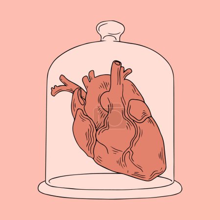 Ilustración de Vector hand drawn illustration of human heart in glass cap. Creative artwork. Template for card, poster, banner, print for t-shirt, pin, badge, patch. - Imagen libre de derechos