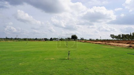 Photo for Fully grown lawn ready for cultivation. Cultivation outskirts of Bangalore. Lush evergreen grass of Cynodon dactylon also known as Bermuda, crab etc - Royalty Free Image