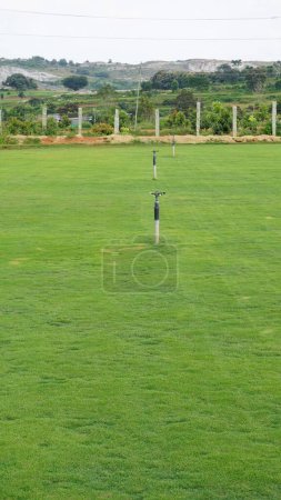 Téléchargez les photos : Fully grown lawn ready for cultivation. Cultivation outskirts of Bangalore. Lush evergreen grass of Cynodon dactylon also known as Bermuda, crab etc - en image libre de droit