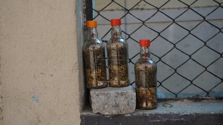 Photo for Bangalore,Karnataka,India-January 01 2023: Indian dried ayurvedic herbs to reduce hairfall stored in bottle and sold in Streets of Shivaji nagar - Royalty Free Image