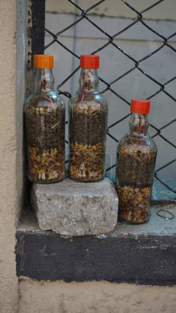 Photo for Bangalore,Karnataka,India-January 01 2023: Indian dried ayurvedic herbs to reduce hairfall stored in bottle and sold in Streets of Shivaji nagar - Royalty Free Image