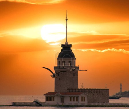 Möwe im Fokus und verschwommener Blick auf den Jungfrauenturm im Hintergrund. Möwen, Mädchenturm und herrliche Sonnenuntergangsfarben am Bosporus in Istanbul.