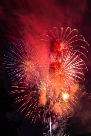 Foto de Fireworks over Missouri Southern State University in Joplin, Missouri on julio 4, 2020 - Imagen libre de derechos