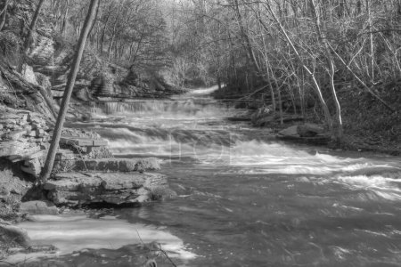 Photo for Tanyard Creek Park in Bella Vista, Arkansas - Royalty Free Image