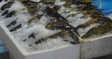 Foto de Camarones frescos colocados sobre hielo en dos cajas de espuma fondo, animal, comida, fresco, fresco - Imagen libre de derechos