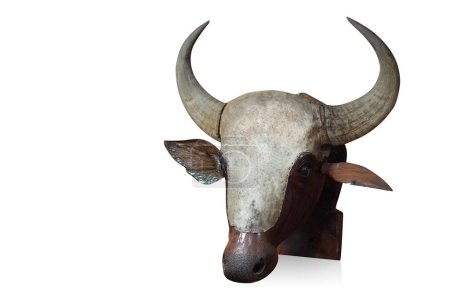 vaca de madera es la cabeza se atasca en un pedazo de madera, sobre fondo blanco, objeto, animal, decoración, antigüedades, moda, espacio de copia