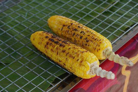 two pieces of grilled yellow corn, placed on the grill background, food, fruit, sweet, copy space                              