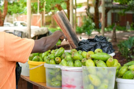 A black skin individual is captured while placing ripe prickly pear fruit atop a vibrant market stall, indicative of local, daily commerce in a tropical setting.