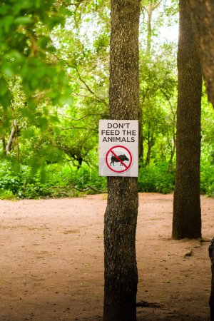 Ein Warnschild an einem Baumstamm in dichtem Waldgebiet, das Wanderer und Besucher auf mögliche Gefahren oder Richtlinien in der Gegend aufmerksam macht.