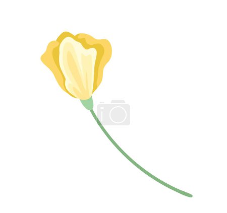 Illustration for Beautiful yellow flower. Watercolor drawing, aesthetics and elegance. Botany and floristry, plant and nature. Creativity and art. Gift and surprise, symbol of spring. Cartoon flat vector illustration - Royalty Free Image