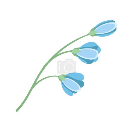 Téléchargez les illustrations : Belle fleur bleue. Affiche ou bannière pour site web, dessin à l'aquarelle. Botanique et floristique, botanique, biologie. Symbole de printemps, élégance, esthétique et beauté. Illustration vectorielle plate de bande dessinée - en licence libre de droit