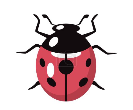 Illustration for Red and black ladybug icon. Insect top view, biology. Nature and wild life. Symbol of summer and spring seasons. Sticker for social networks and instant messengers. Cartoon flat vector illustration - Royalty Free Image