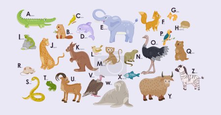 Illustration for Cute wild animals Alphabet. Educational poster for kids with letters and images of mammals, birds, reptiles and fish. Element for school lesson. Cartoon flat vector illustration in scandinavian style - Royalty Free Image