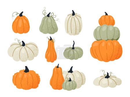 Illustration for Different pumpkins collection. Set of graphic elements for website. Halloween symbol, scary spring holiday. Culture and traditions. Cartoon flat vector illustrations isolated on white background - Royalty Free Image