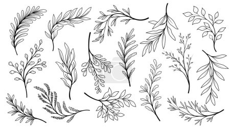 Illustration for Leaves line art set. Collection of graphic elements for website. Botany and floristry, branches of blossom and blooming plants. Cartoon flat vector illustrations isolated on white background - Royalty Free Image