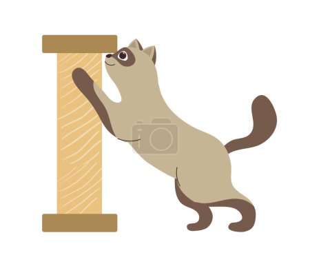 Illustration for Cute domestic animal. Sticker with Siamese cat sharpening its claws with scratching post. Kitten teenager plays and looks after himself. Cartoon flat vector illustration isolated on white background - Royalty Free Image