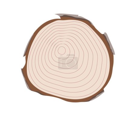 Illustration for Wood slice concept. Log of oak or Christmas tree with age rounds. Top view of wooden object, material for construction. Cartoon flat vector illustration isolated on white background - Royalty Free Image