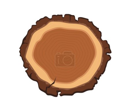 Illustration for Wood slice concept. Log or trunk. Top view of tree. Material for construction in village and rural town. Poster or banner for website. Cartoon flat vector illustration isolated on white background - Royalty Free Image