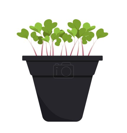 Illustration for Evergreen green sprouts in pot concept. Plant sprouts with petals, flowers. Nature, botany and floristry, biology. Social media sticker. Cartoon flat vector illustration isolated on white background - Royalty Free Image