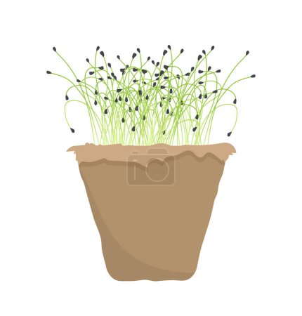 Illustration for Evergreen green sprouts in pot concept. Nature, biology and botany, floristry. Element of decor and interior for house or apartment. Cartoon flat vector illustration isolated on white background - Royalty Free Image