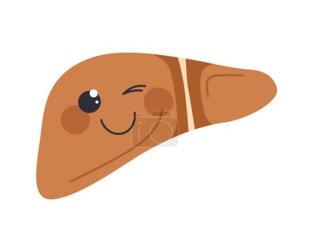 Illustration for Cute human liver concept. Biology, anatomy and physiology. Mascot and kawaii character. Sticker for social networks and messengers. Cartoon flat vector illustration isolated on white background - Royalty Free Image