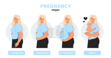 Illustration for Set of pregnancy stages concept. Medical infographics and educational materials. Anatomy and biology. Childhood and parenthood. Cartoon flat vector collection isolated on white background - Royalty Free Image