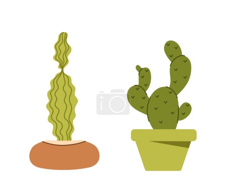 Illustration for Succulents at flowerpots set. Plants in colorful flowerpots. Decor and interior elements for home. Floristry and botany. Cartoon flat vector collection isolated on white background - Royalty Free Image