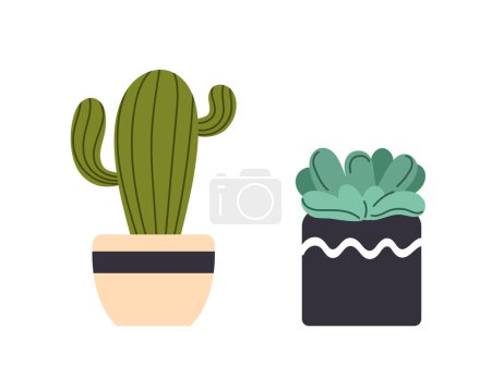 Illustration for Succulents at flowerpots set. Cactus in beige and black flowerpots. Decor elements for house. Poster or banner for website. Cartoon flat vector collection isolated on white background - Royalty Free Image